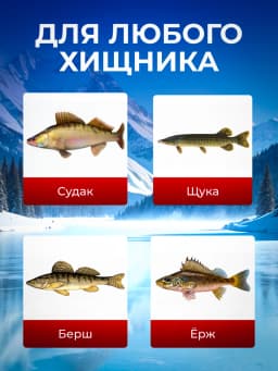 Балансиры рыболовные для зимней рыбалки 5шт в кейсе