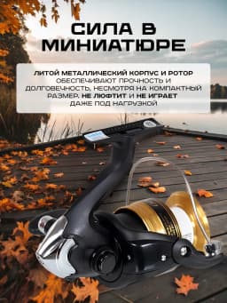 Shimano Катушка для спиннинга 2500FC