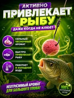 Прикормка для рыбалки