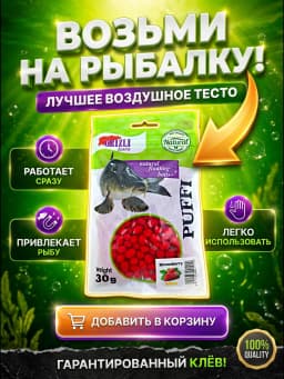 Прикормка для рыбалки
