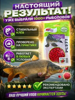 Прикормка для рыбалки