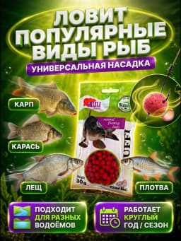 Прикормка для рыбалки
