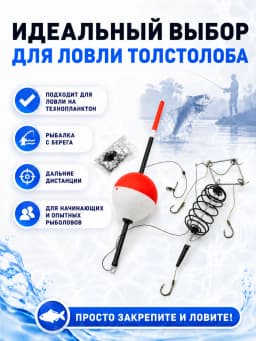 Снасть на толстолоба в сборе