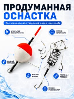 Снасть на толстолоба в сборе
