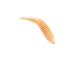 ПРИМАНКА ZUB-MAGGOT SLIM 22ММ(0,9)-20ШТ, (ЦВЕТ 303) ТЕЛЕСНЫЙ