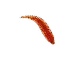 ПРИМАНКА ZUB-MAGGOT SLIM 22ММ(0,9)-20ШТ, (ЦВЕТ 911) МАШИННОЕ МАСЛО С БЛЕСТКАМИ